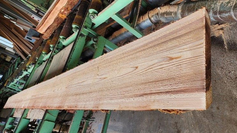 Sugi timbers and wood